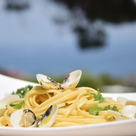 Le Picchiaie מלון